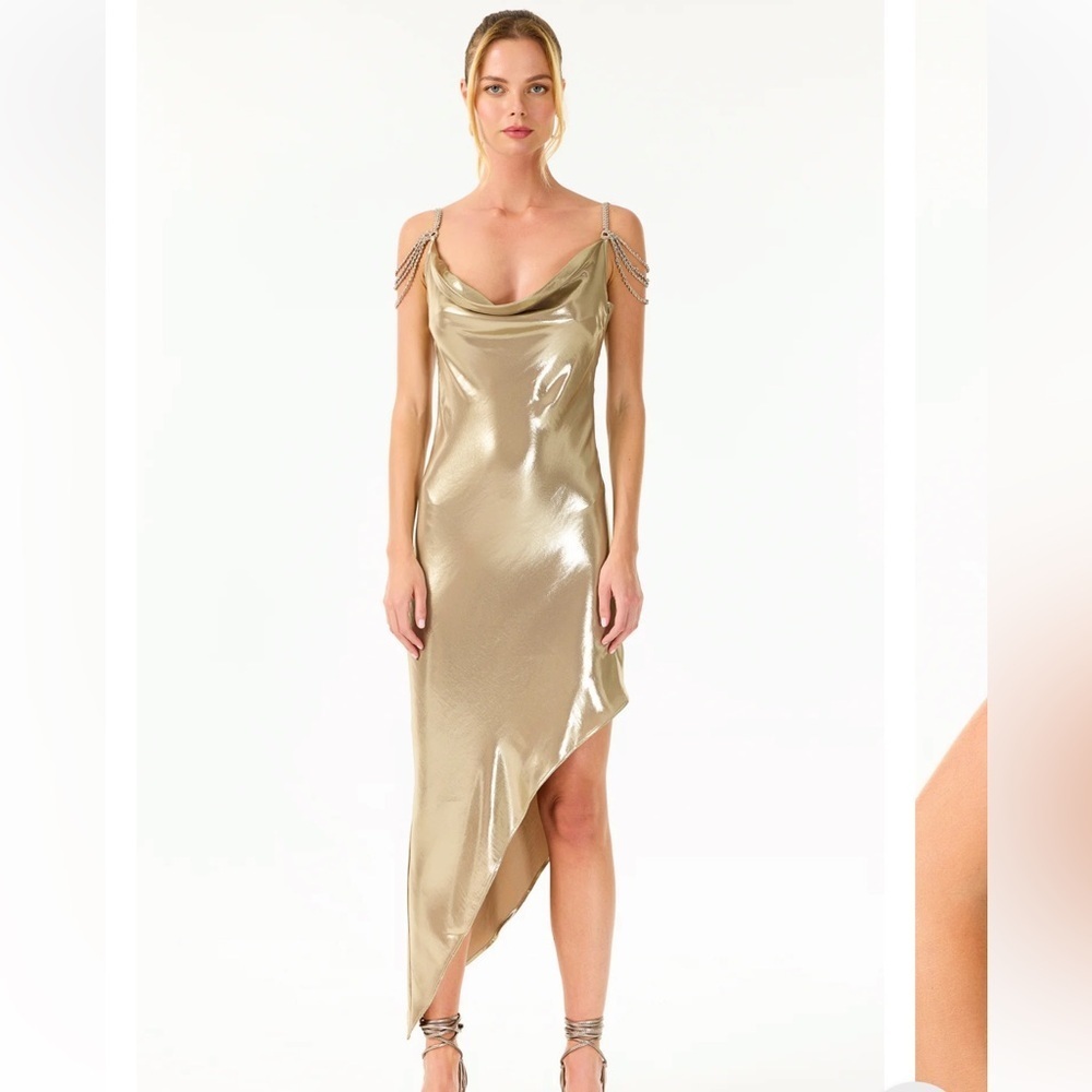 NWT My Beachy Side Charlotte Bronze Shimmer Dress ($385) - Size M